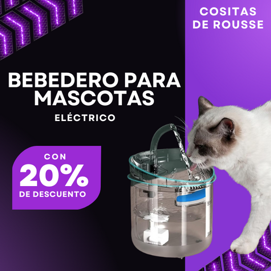 Bebedero de Agua para Mascotas